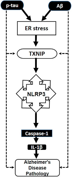 Fig. 5.