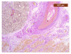 Figure 26