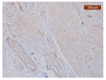 Figure 29