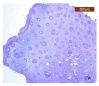 Figure 14