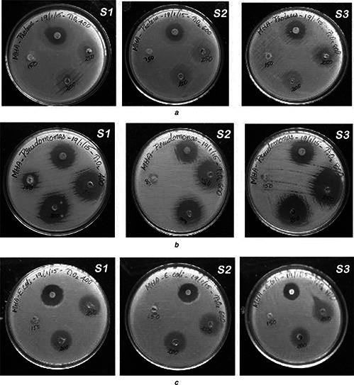 Fig. 5