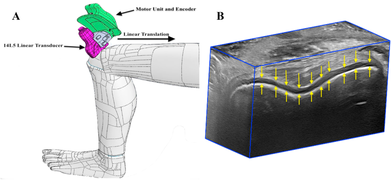 Fig. 1