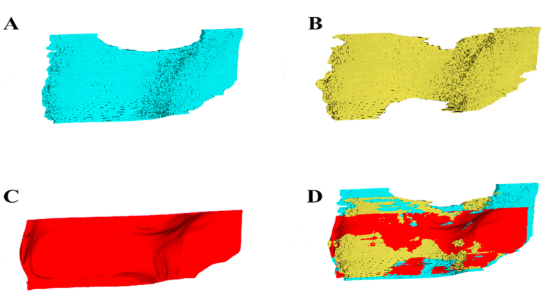 Fig. 3