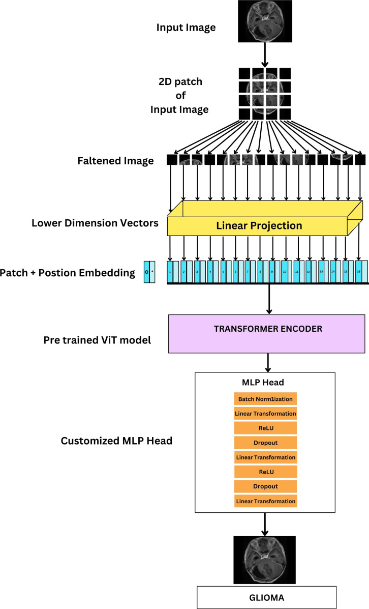 Figure 11