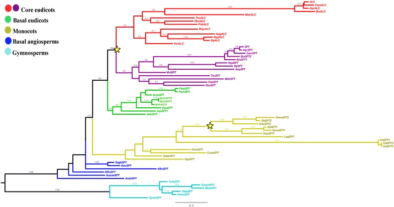 Fig. 2