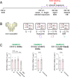 Figure 4–figure supplement 4.