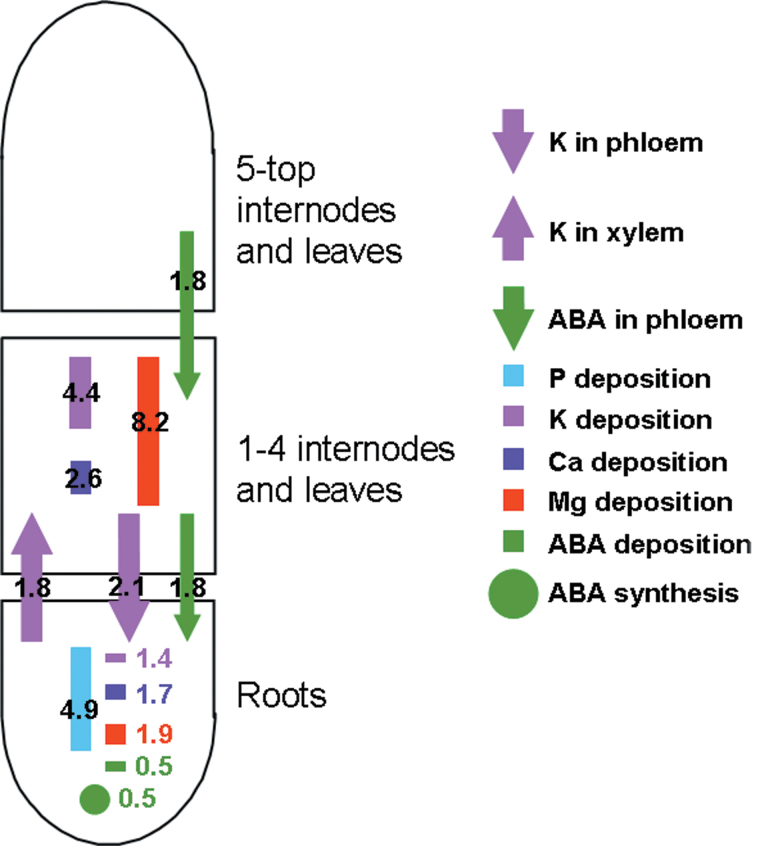 Fig. 3.