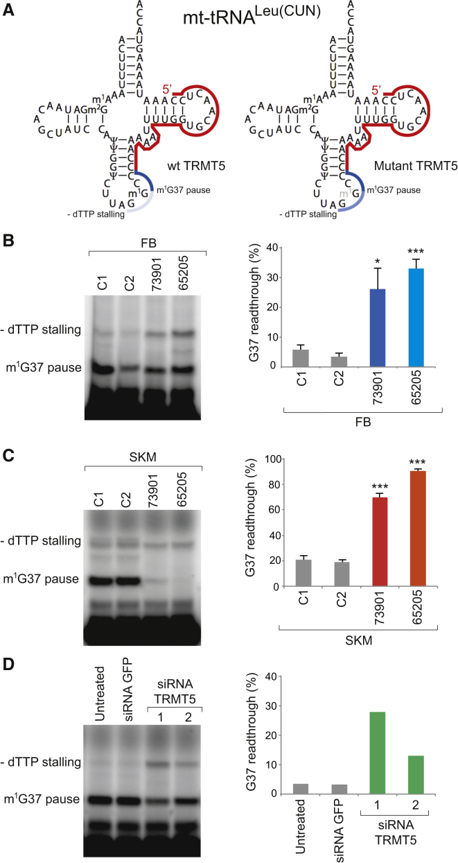 Figure 4