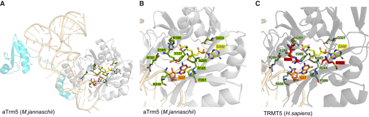 Figure 2