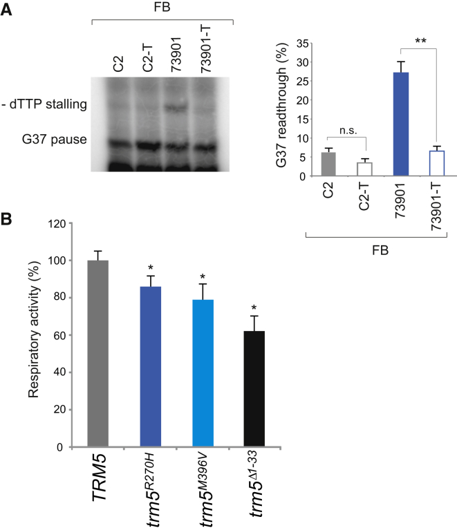 Figure 5