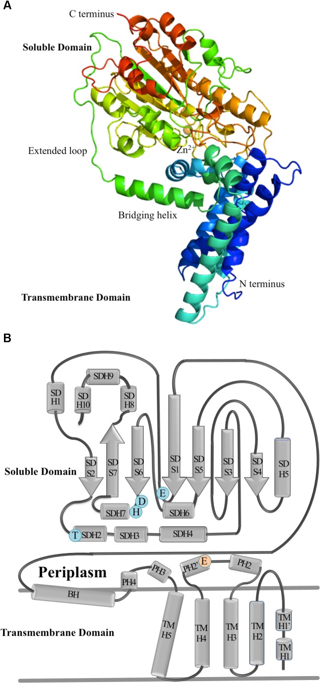 FIGURE 4