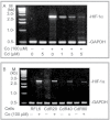 Fig. 9.