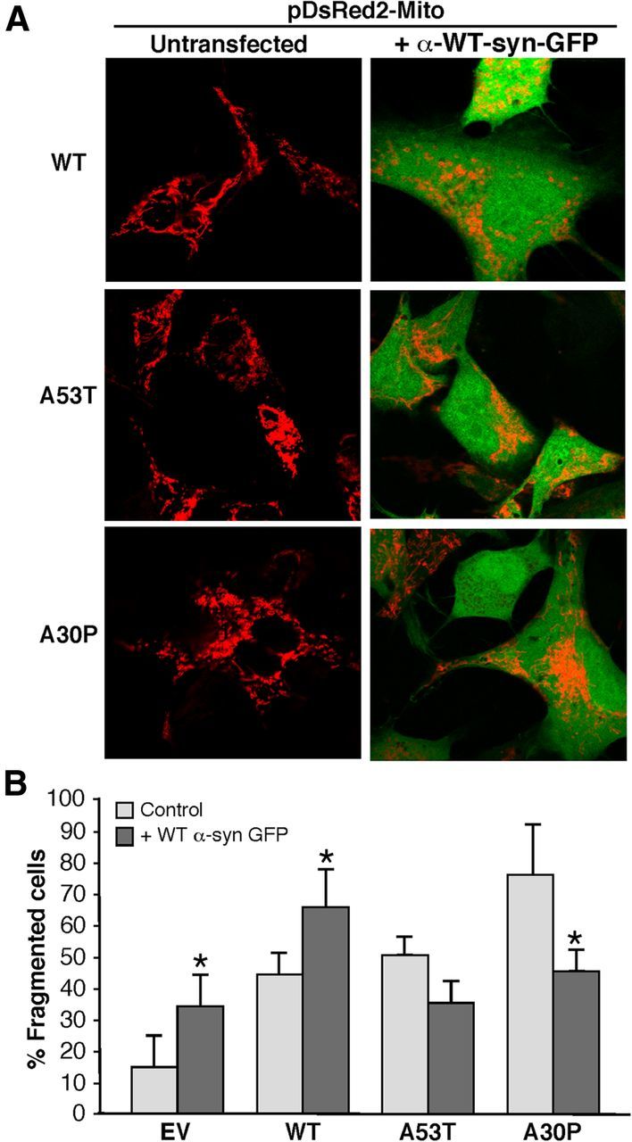 Figure 12.