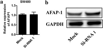 Fig. 7