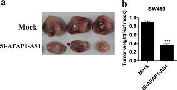 Fig. 5