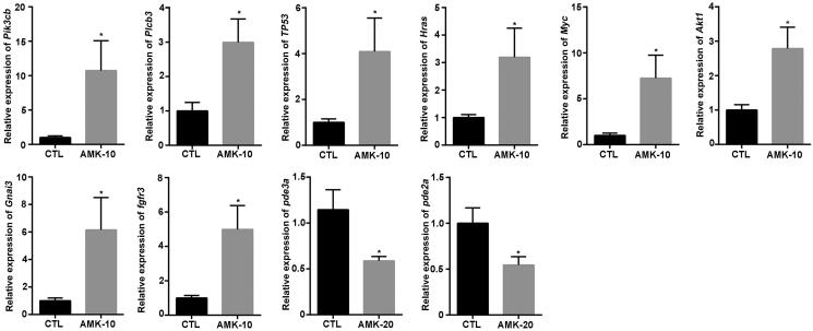 Figure 6.