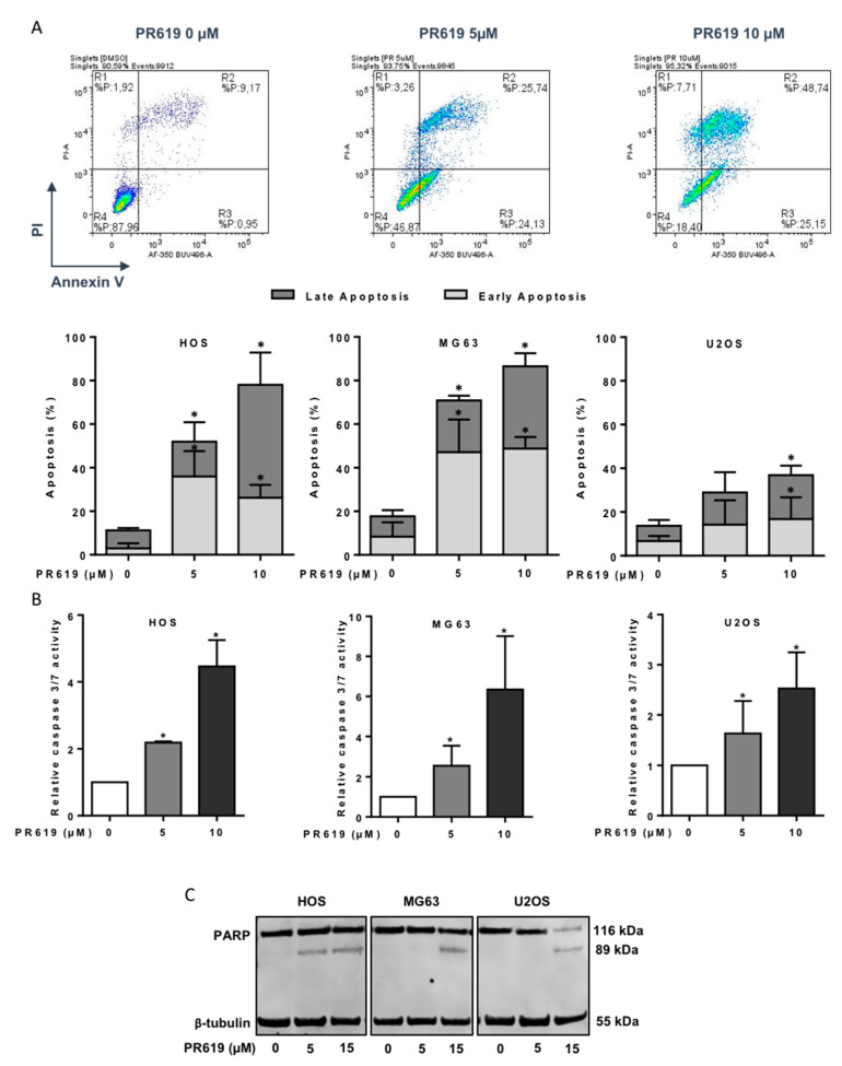 Figure 6