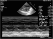Figure 1: