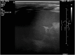 Figure 2:
