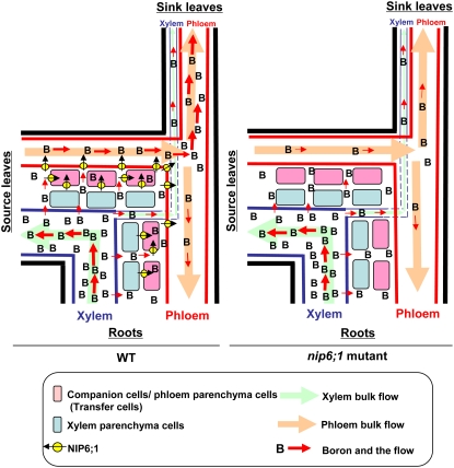 Figure 12.