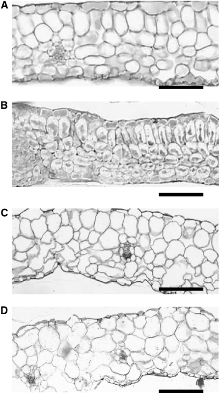 Figure 9.