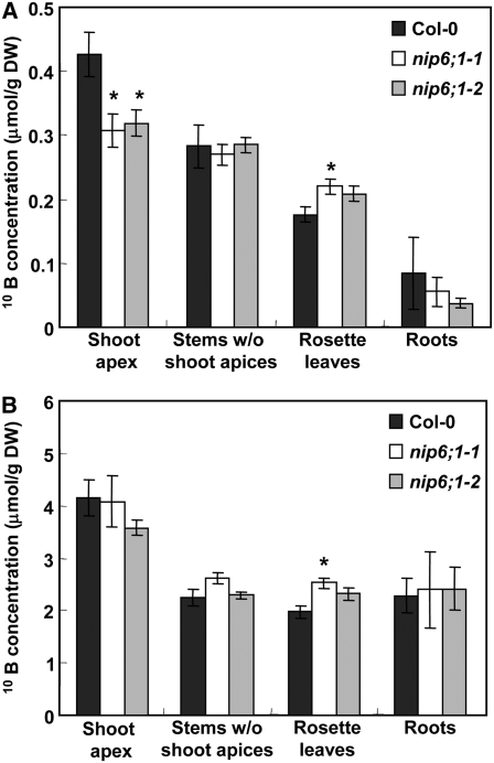 Figure 11.