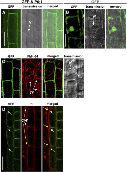 Figure 3.