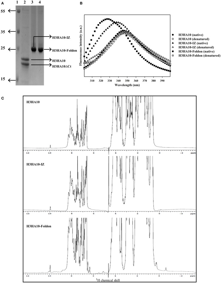 Figure 2