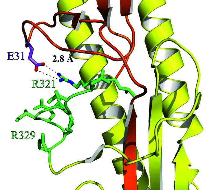 Fig. 4.