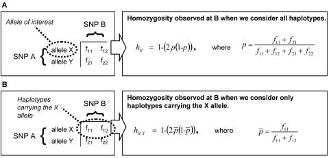 Figure  1