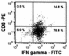 FIG. 2.