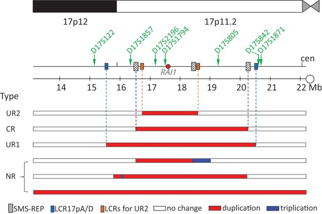 Figure 1.