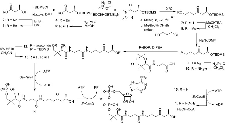 Scheme 2