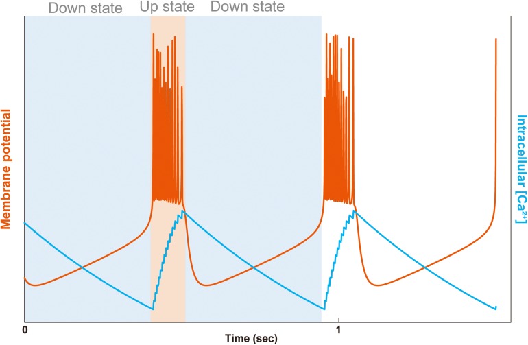 FIGURE 2