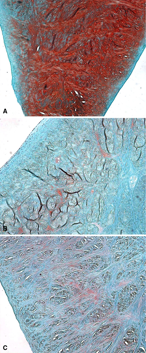 Fig. 4A–C