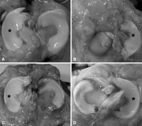 Fig. 1A–D