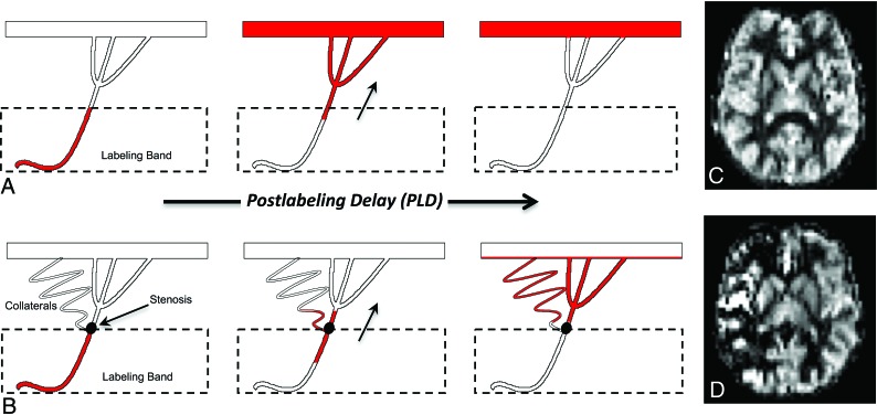 Fig 4.