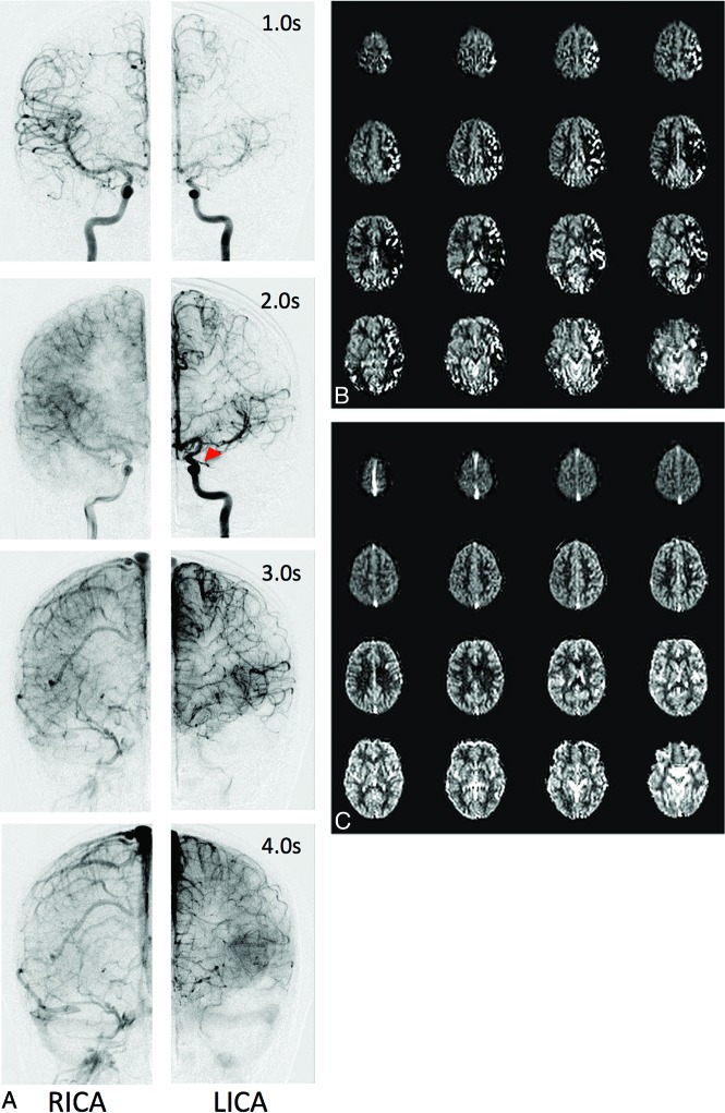 Fig 2.