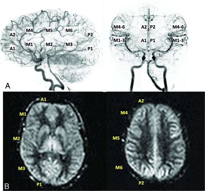 Fig 1.