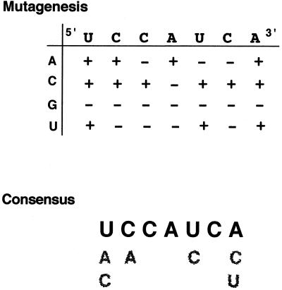 FIG. 6