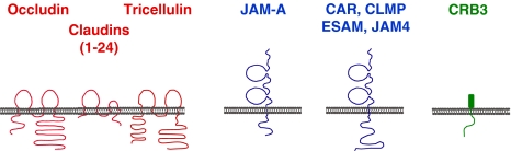 Fig. 2