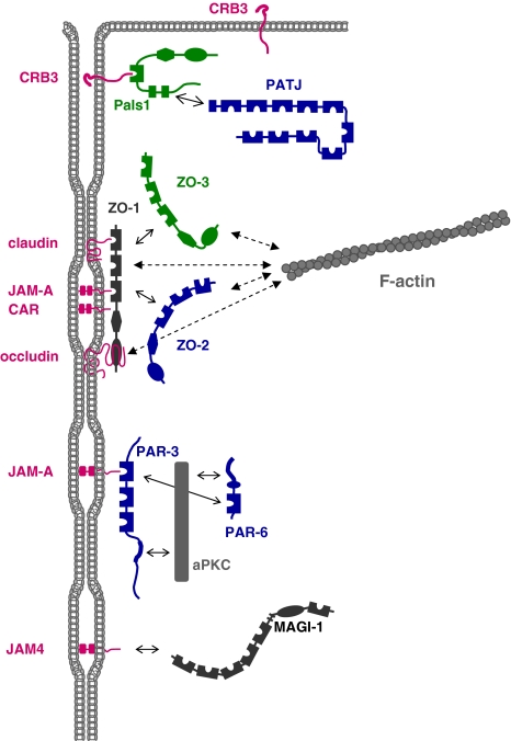 Fig. 4