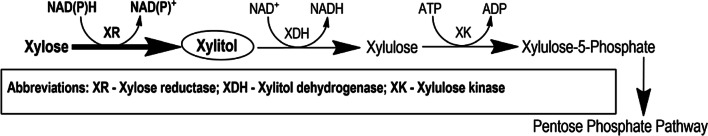 Fig. 7