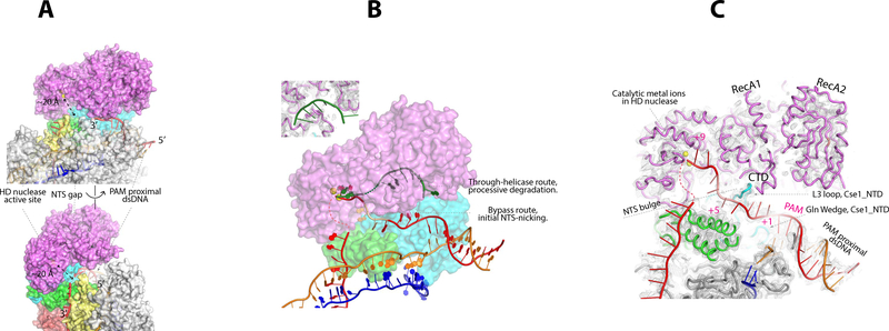 Figure 4.