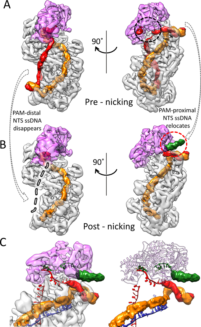 Figure 5.