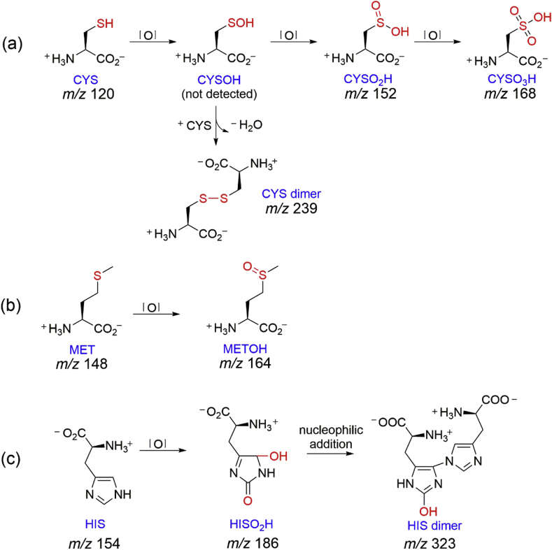 Fig. 4