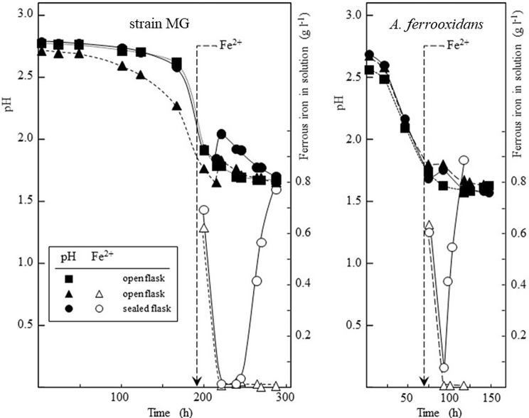 Fig. 5