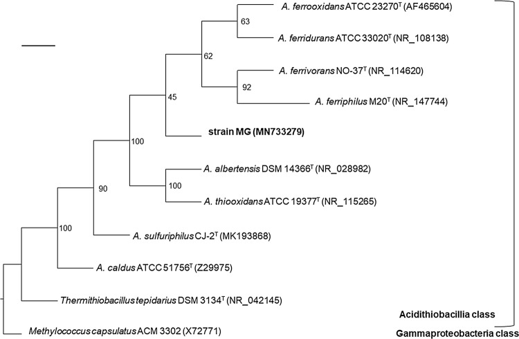 Fig. 1