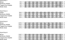 F<sc>ig</sc>. 5.—