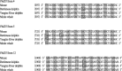 F<sc>ig</sc>. 2.—